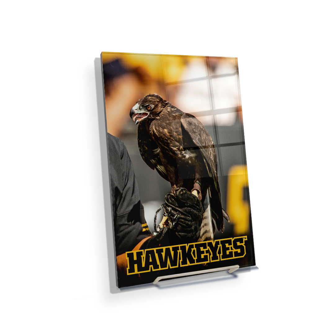 Iowa Hawkeyes - The Hawkeyes - College Wall Art #Canvas
