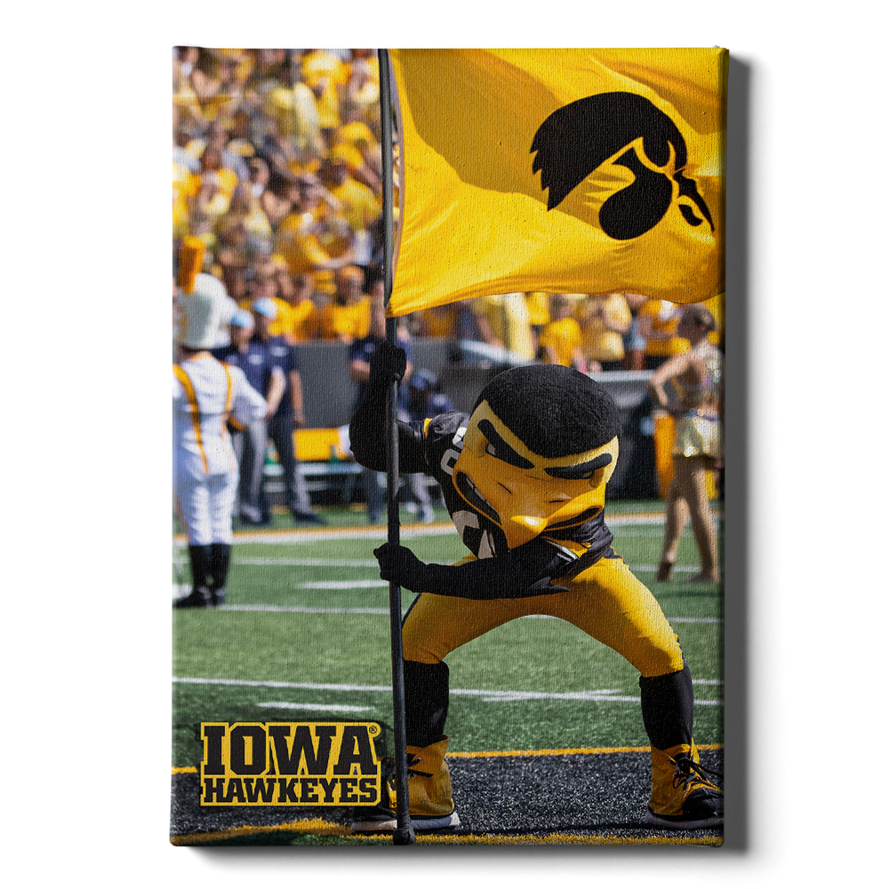 Iowa Hawkeyes - Iowa Hawkeyes Herky on the 50 - College Wall Art #Canvas