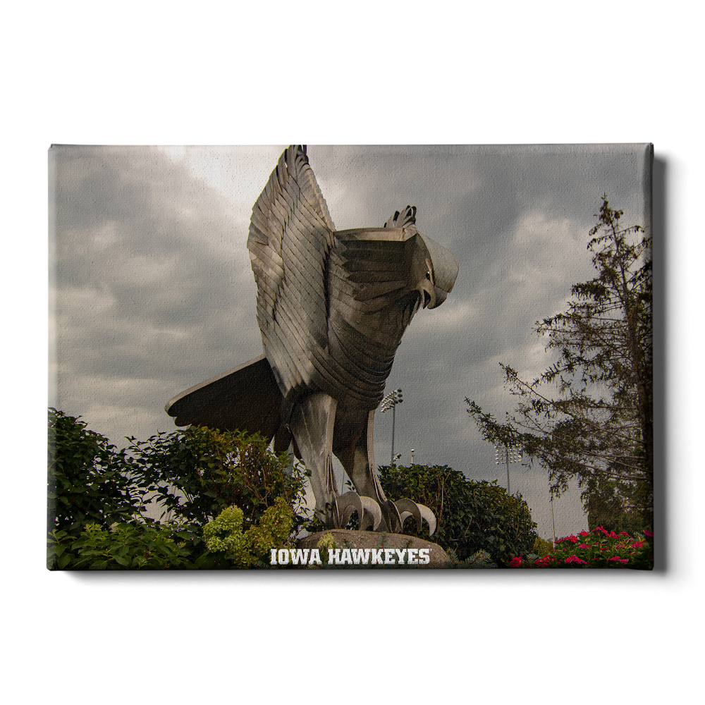 Iowa Hawkeyes - The Hawk In Honor of Bump Elliot - College Wall Art #Canvas