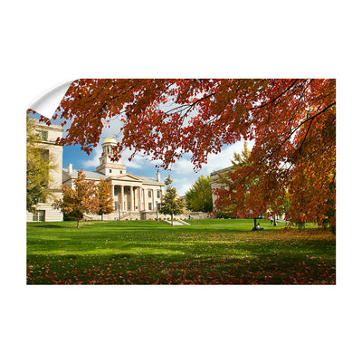 Iowa Hawkeyes - Fall Campus - College Wall Art #Wall Decal