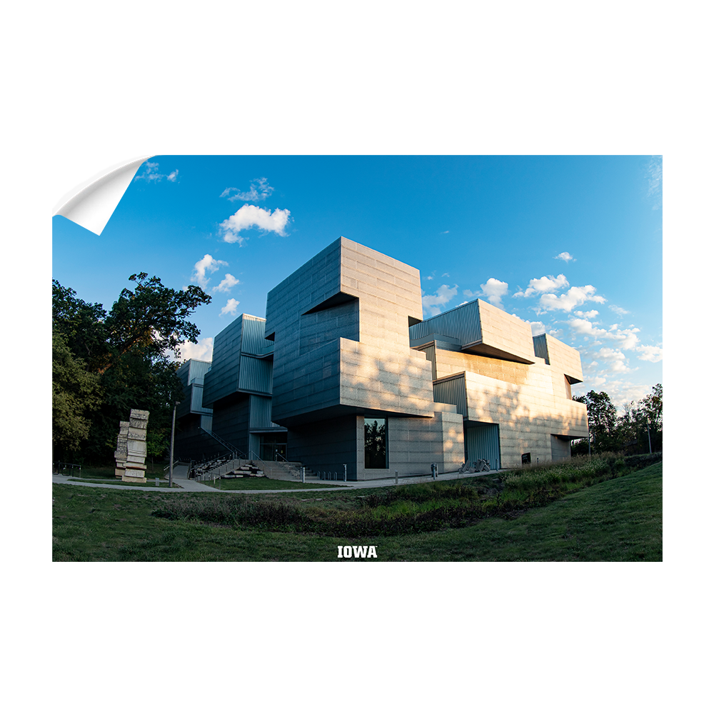 Iowa Hawkeyes - Visual Arts - College Wall Art #Canvas