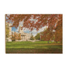 Iowa Hawkeyes - Fall Campus - College Wall Art #Wood