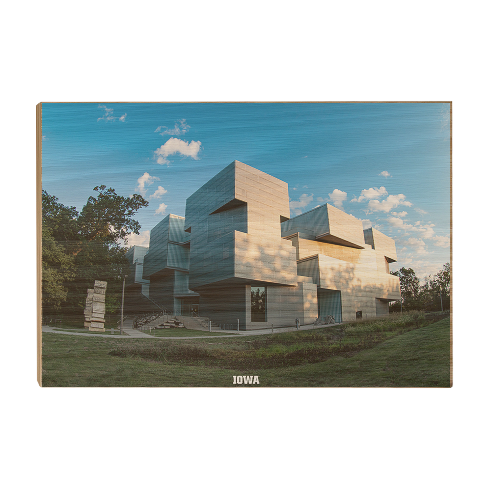 Iowa Hawkeyes - Visual Arts - College Wall Art #Canvas