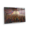 Iowa State Cyclones - Hilton Coliseum - College Wall Art #Acrylic Mini