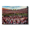 Iowa State Cyclones - Cyclones Win, Storm The Field - College Wall Art #Canvas