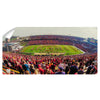 Iowa State Cyclones - Cyclones Pano - College Wall Art #Wall Decal