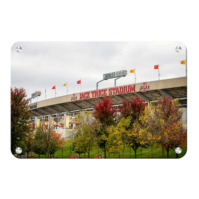 Iowa State Cyclones - Autumn Jack Trice - College Wall Art #Metal