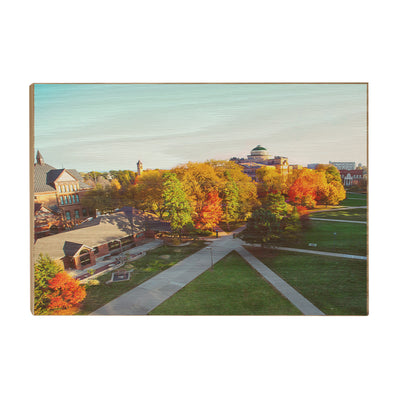 Iowa State Cyclones - Iowa State University Campus - College Wall Art #Wood