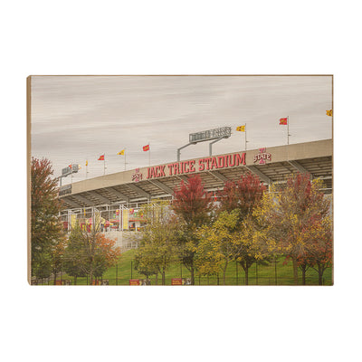 Iowa State Cyclones - Autumn Jack Trice - College Wall Art #Wood