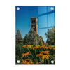 Northern Iowa Panthers - Campanile Flowers - College Wall Art #Acrylic