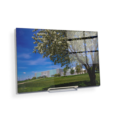 Northern Iowa Panthers - Uni Cherry Blossom - College Wall Art #Acrylic Mini