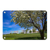 Northern Iowa Panthers - Uni Cherry Blossom - College Wall Art #Metal