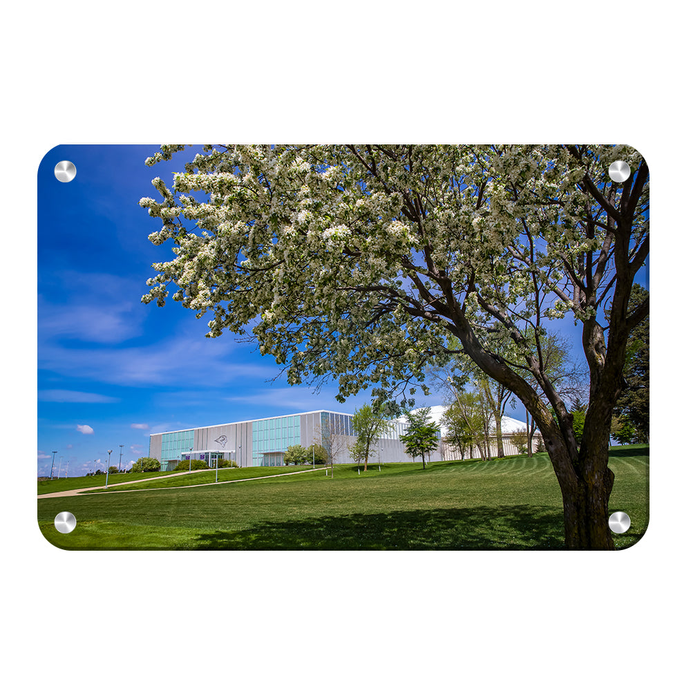 Northern Iowa Panthers - Uni Cherry Blossom - College Wall Art #Canvas