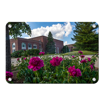 Northern Iowa Panthers - Campus Spring - College Wall Art #Metal