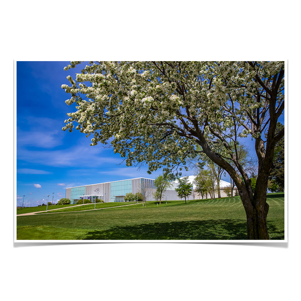 Northern Iowa Panthers - Uni Cherry Blossom - College Wall Art #Canvas