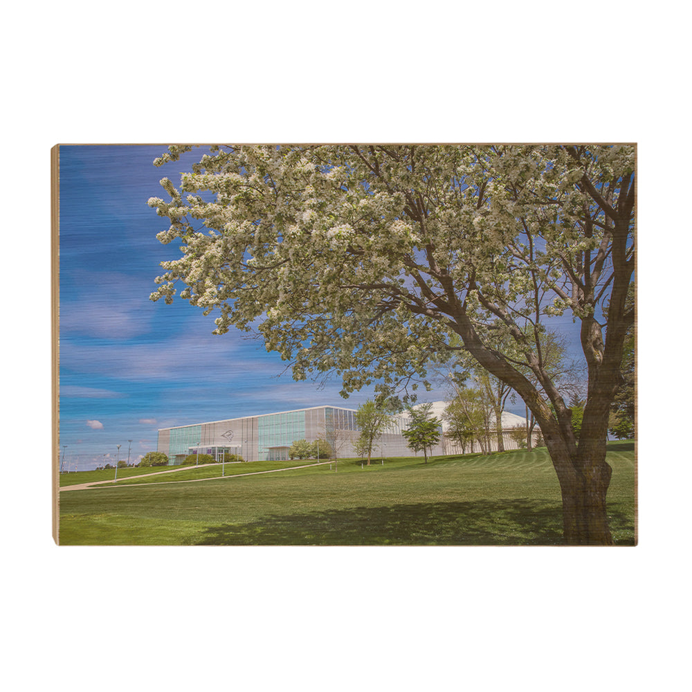 Northern Iowa Panthers - Uni Cherry Blossom - College Wall Art #Canvas