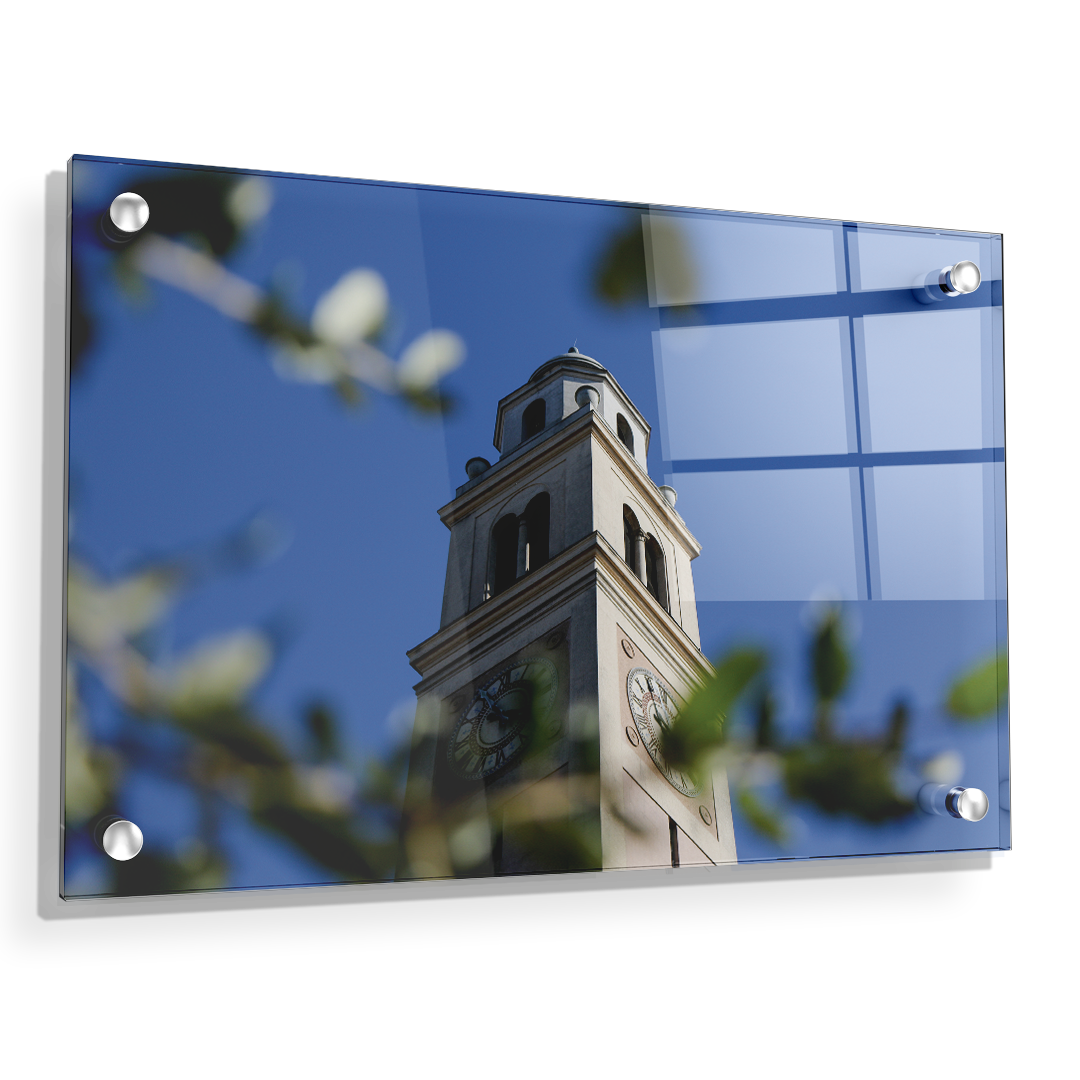 LSU Tigers - Tower Thru the Trees - College Wall Art #Canvas