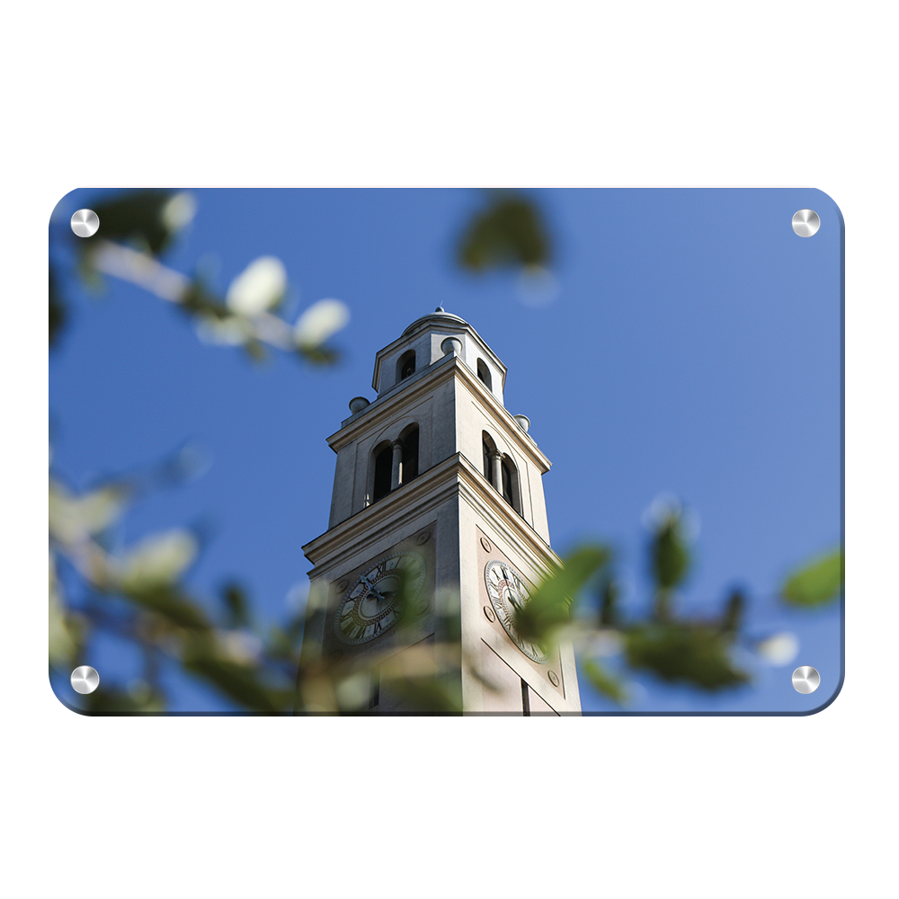 LSU Tigers - Tower Thru the Trees - College Wall Art #Canvas