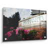 Michigan State - Michigan State University - College Wall Art #Acrylic