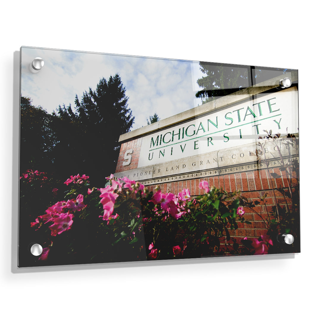 Michigan State - Michigan State University - College Wall Art #Canvas