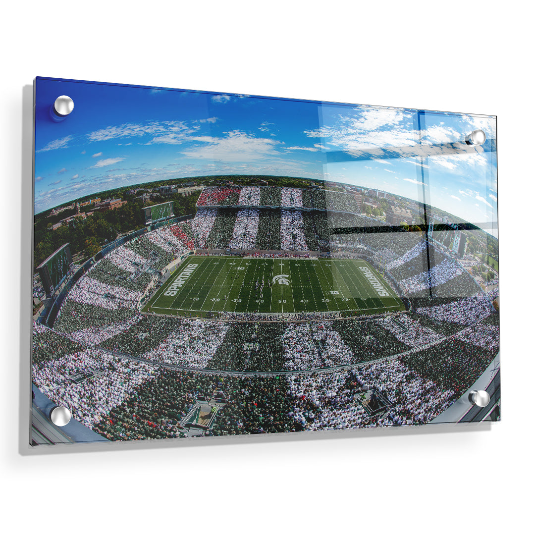 Michigan State - Fish Eye Stripe Out - College Wall Art #Canvas