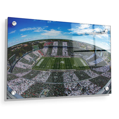 Michigan State - Fish Eye Stripe Out - College Wall Art #Acrylic