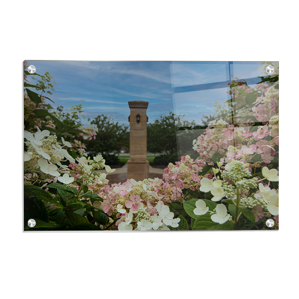 Michigan State - Benafactor Plaza Flowers - College Wall Art #Canvas