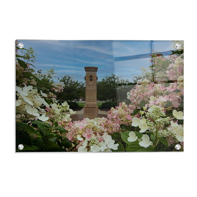 Michigan State - Benafactor Plaza Flowers - College Wall Art #Acrylic