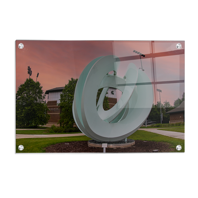 Michigan State - Secchia Stadium -College Wall Art #Acrylic