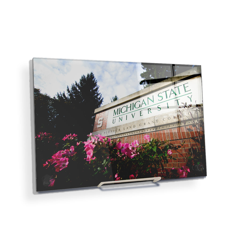 Michigan State - Michigan State University - College Wall Art #Canvas