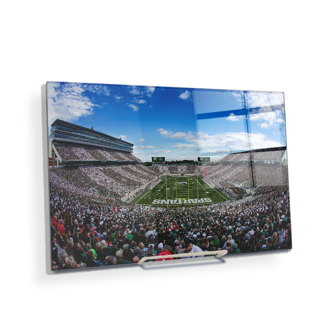 Michigan State - Michigan State Stripe Out - College Wall Art #Canvas