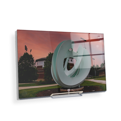 Michigan State - Secchia Stadium -College Wall Art #Acrylic Mini