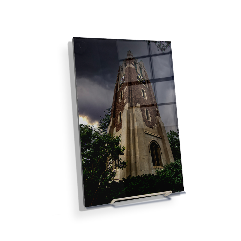 Michigan State - Stormy Beaumont Watercolor - College Wall Art #Canvas