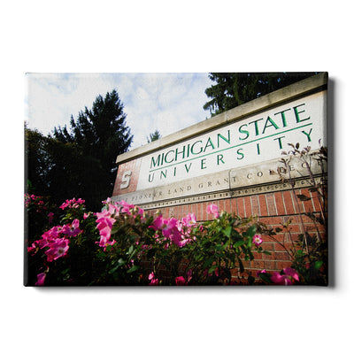 Michigan State - Michigan State University - College Wall Art #Canvas