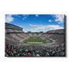 Michigan State - Michigan State Stripe Out - College Wall Art #Canvas