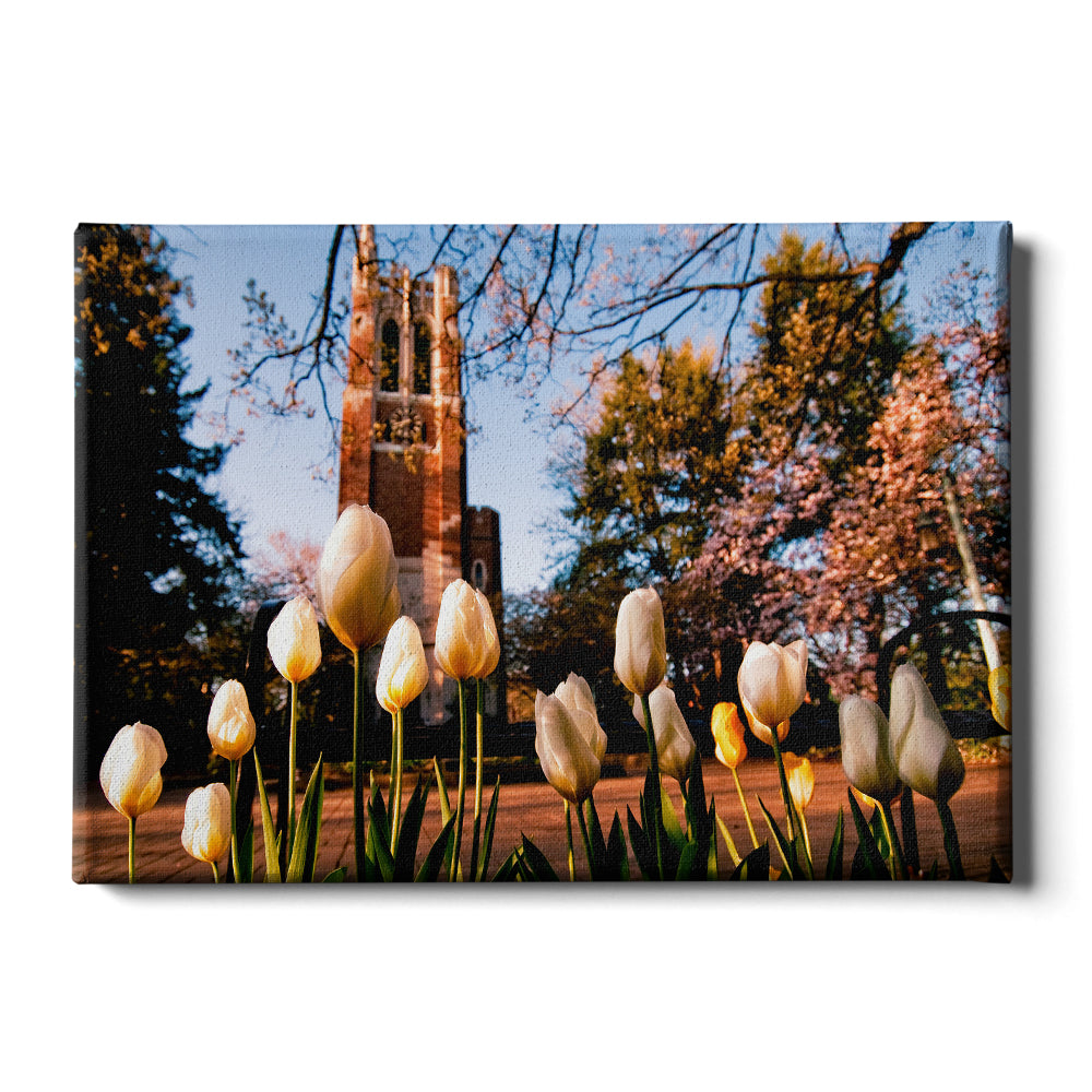 Michigan State - Spring - College Wall Art #Canvas