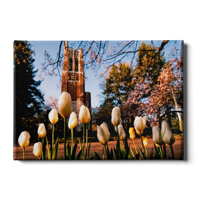 Michigan State - Spring - College Wall Art #Canvas