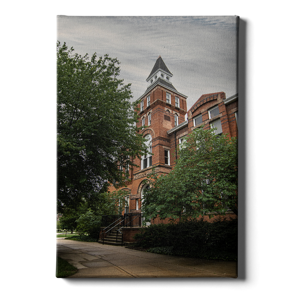 Michigan State - Library Museum - College Wall Art #Canvas