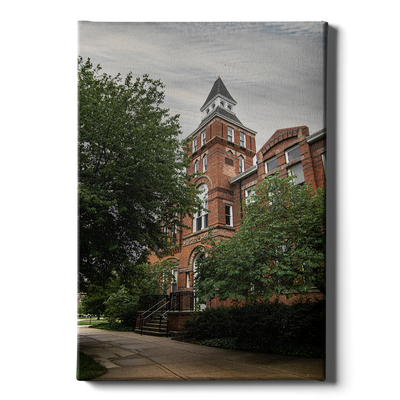 Michigan State - Library Museum - College Wall Art #Canvas