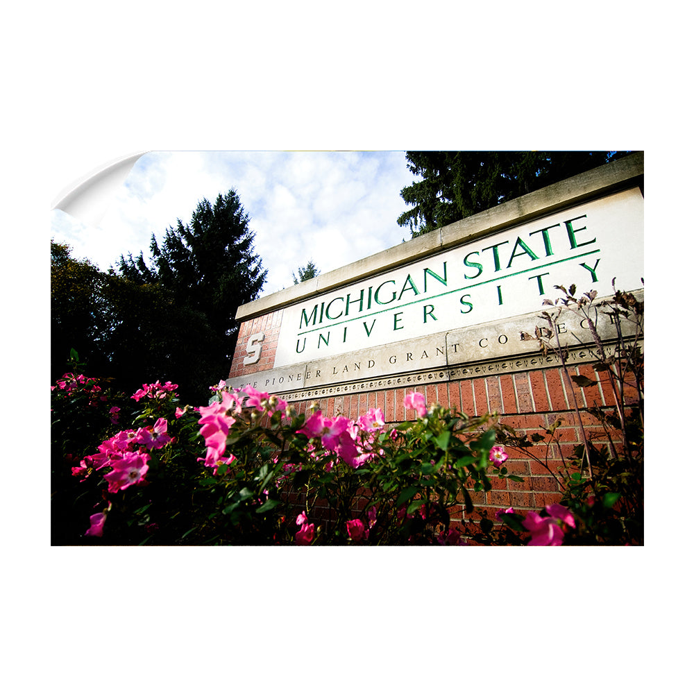 Michigan State - Michigan State University - College Wall Art #Canvas