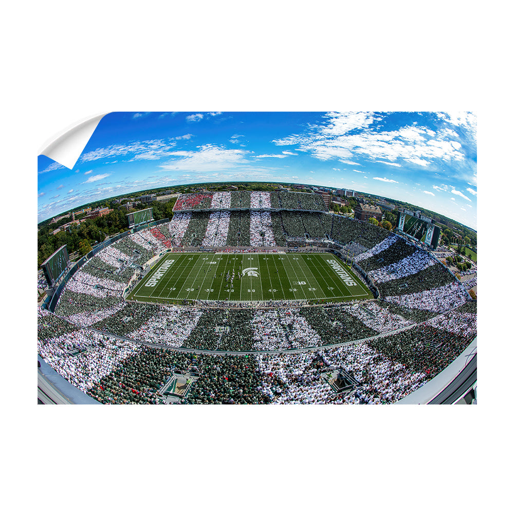 Michigan State - Fish Eye Stripe Out - College Wall Art #Canvas