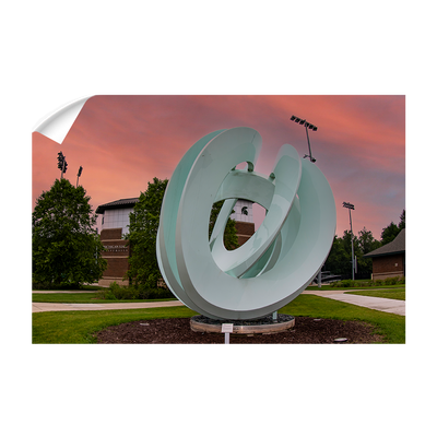 Michigan State - Secchia Stadium -College Wall Art #Wall Decal