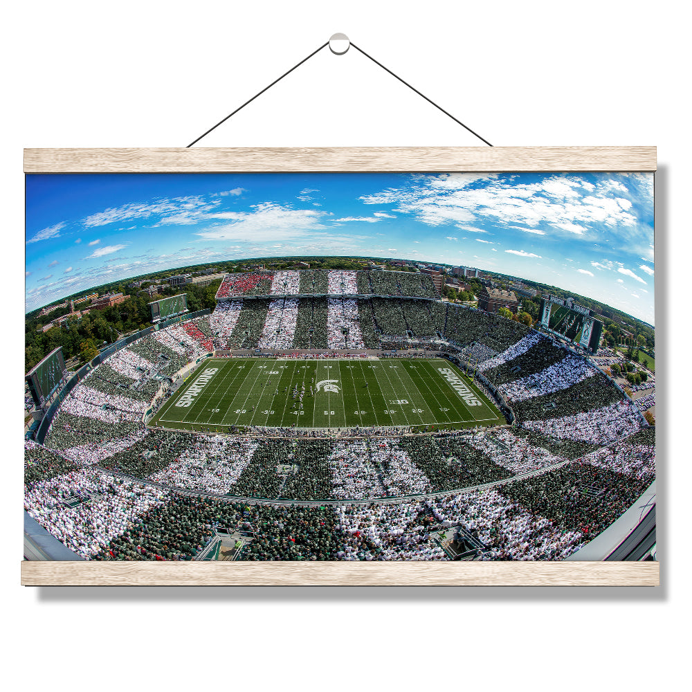 Michigan State - Fish Eye Stripe Out - College Wall Art #Canvas