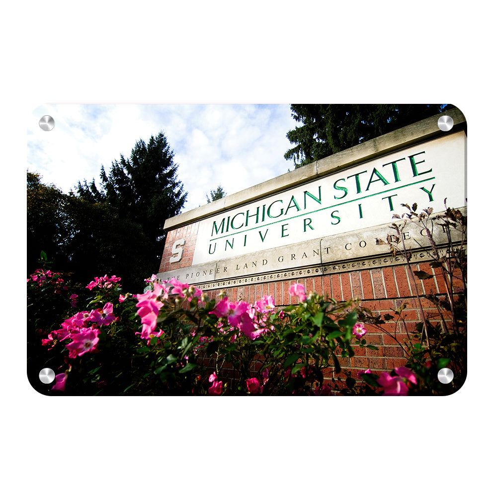 Michigan State - Michigan State University - College Wall Art #Canvas