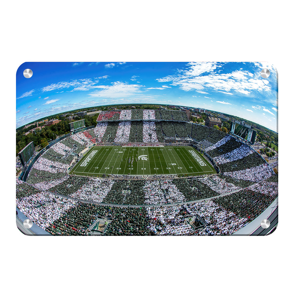 Michigan State - Fish Eye Stripe Out - College Wall Art #Canvas