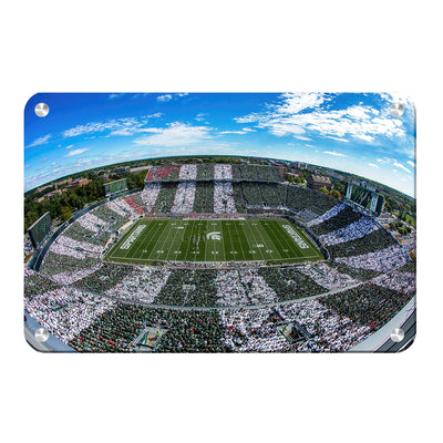 Michigan State - Fish Eye Stripe Out - College Wall Art #Metal