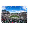 Michigan State - Michigan State Stripe Out - College Wall Art #Metal