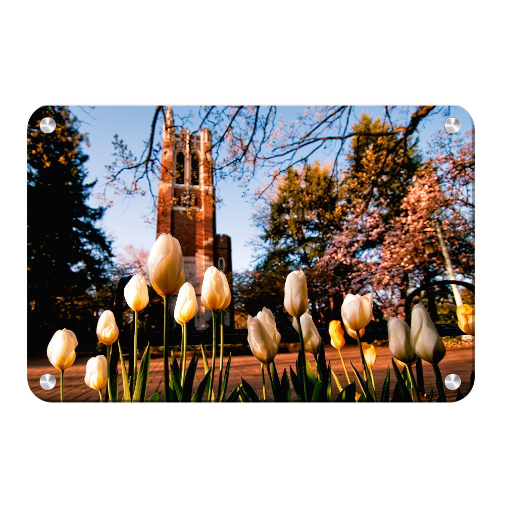 Michigan State - Spring - College Wall Art #Canvas