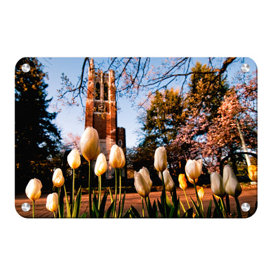 Michigan State - Spring - College Wall Art #Metal