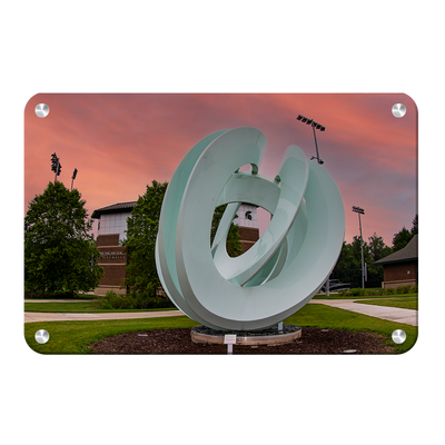 Michigan State - Secchia Stadium -College Wall Art #Metal